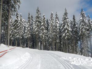 Langlaufen Panoramaloipe