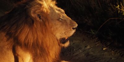 Südafrika - der Norden - 64